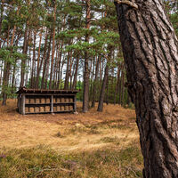 Honigkörbe im Höpen