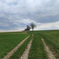 Kurz vor Hareth zweigt der Weg links auf diese Anhöhe ab