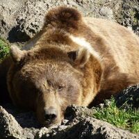 Tierpark Stadt Haag