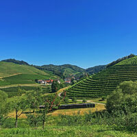 Blick ins Tal bei Ringelbach