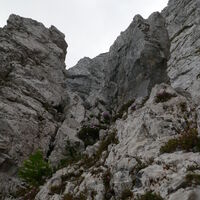 links und rechts des Steiges wilder Fels