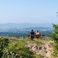 Aussicht an der Spielburg