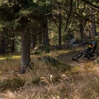 Herbst auf dem Foppettas Flow Trail