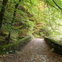 bei Naraun biegen wir mit den Rädern nach links ab und folgen einer Schotterstraße