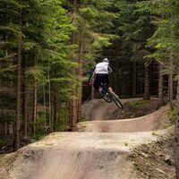 Flowtrail by Wexl Trails #6