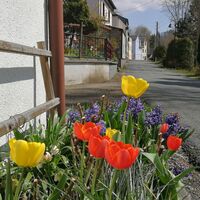 An der Saale zwischen Thüringen und Franken