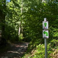 Beschilderung für den VitalWeg 6,8 und 22 im Herbst 