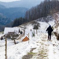 Auf naturbelassenen Wegen wandern, wie hier auf dem Kirchberg,  - auch im Winter ein Genuss