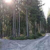 Remptendorf - Ruhteich - Friesauer Hügel