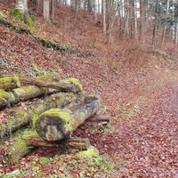 9.7 km Brunnen