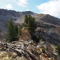 A075 Alpen
