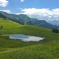 Der Stelsersee ist ein Hochmoorsee auf dem Stelserberg.