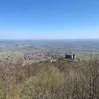 Blick auf das Hambacher Schloss von oben
