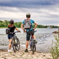 Ausblick auf den Rhein bei Neuburg (Südpfalz)