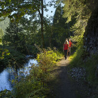 Pfad an der Alb bei St. Blasien-Glashof