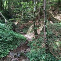 Bächlein bei der Grubbründl-Kapelle, Apfelland in der Oststeiermark