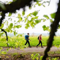 Wandern zwischen Wald uns Wiesen auf dem Panoramaweg bei Schwann