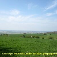 Westseite Teutoburger Wald