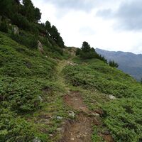 Wanderung durch die Latschenfelder