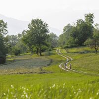 Liechtenstein-Weg bei Bofel zwischen Balzers und Triesen