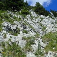 Abstieg am Mairalm Steig