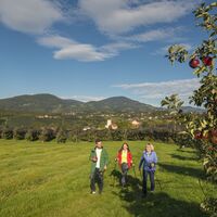 Nordic Walking_Puch bei Weiz_Oststeiermark 