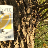 Markierungszeichen des ORTSWEGES Rund um Rhadereistedt