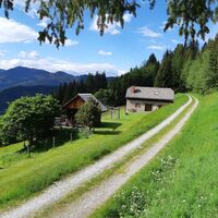 Blick vom Baumhaus auf die Graier Huabn