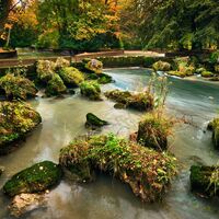München Englischer Garten im Herbst