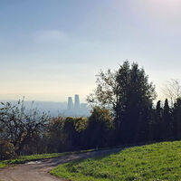 Blick auf Basel