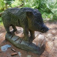 Wildschwein
