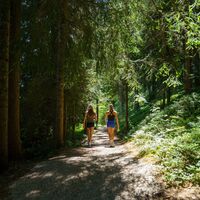 Wanderung auf der Panoramaallee