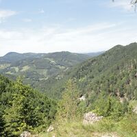Aufstieg oberhalb dem Wallerbachgraben