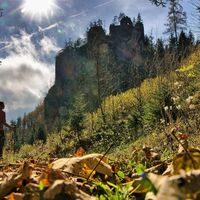 Blick zur Burgruine Kammerstein