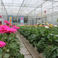 Erlebnispark Emsflower