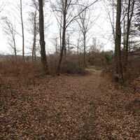 am Weg zur Weiglwarte