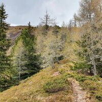 9.7 km Über den Kamm aufs Hausaeck