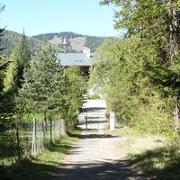 am Weg zum ÖS20,-- Blick