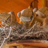 Wildtiererlebnispfad