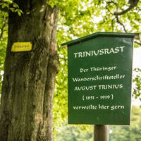 Triniusrast