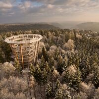 Baumwipfelpfad Schwarzwald im Winter