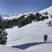 Auf der Schwabergeralm