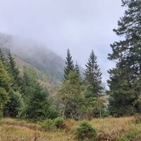 Abstieg nach der Malga di Romeno