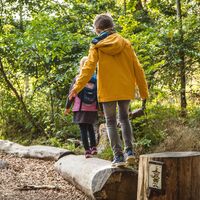 Spaß auf dem Naturerlebnispfad