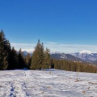 Winterwanderung auf den Arabichl