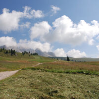 Passo San Pellegrino - ©Archivio APT Val di Fassa