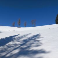 Raus aus dem Wald