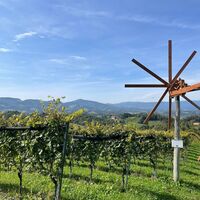 Klapotetz im Weingarte