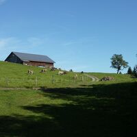 Weg auf das Brüggele