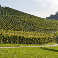Blick auf den Augenberg. Im Hintergrund der Schloßberg